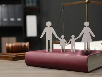 Family Lawyer